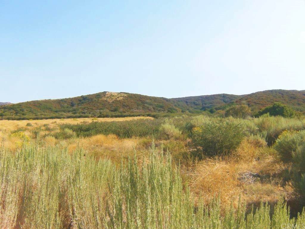 42701 Ranch Club Road - Photo 1