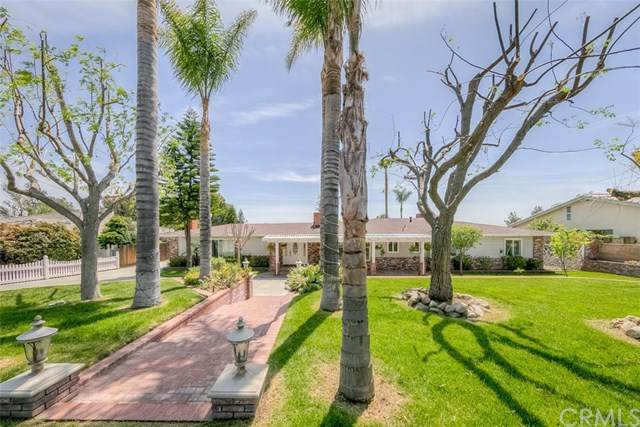 9225 Banyan Street - Photo 1
