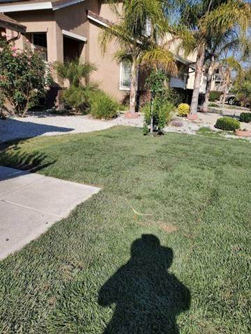 291 Calcite Avenue - Photo 1