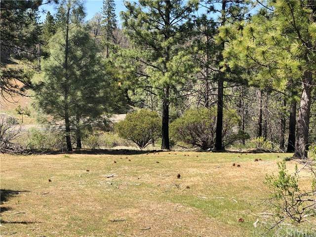 14258 Lema Lane - Photo 1