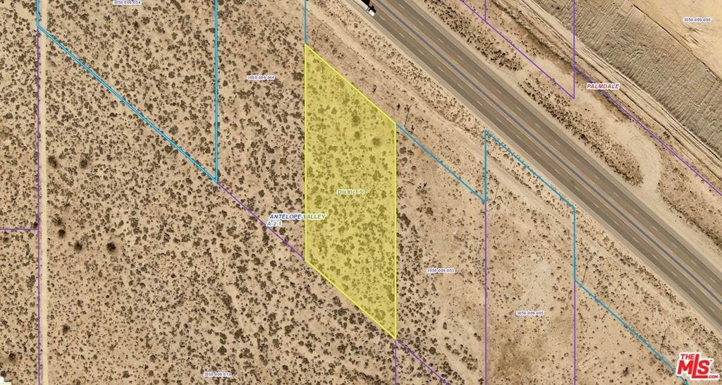 6300 Pearblossom Highway - Photo 1