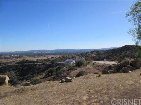 24125 Woolsey Canyon - Photo 1