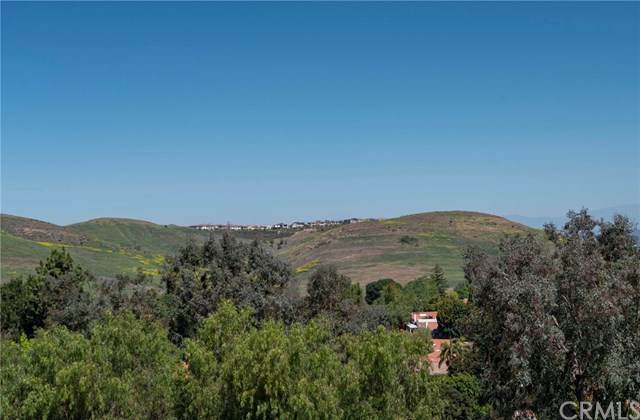 24055 Paseo Del Lago - Photo 1