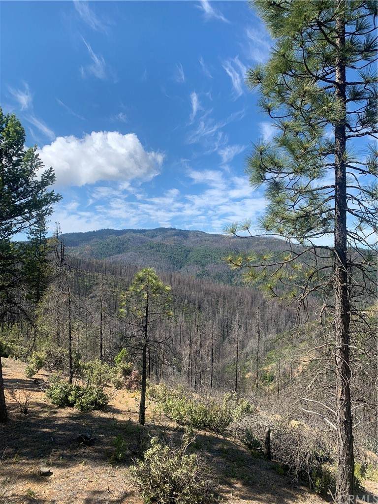 21025 Elk Mountain Road - Photo 1
