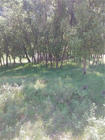 10775 Harbor Road - Photo 1