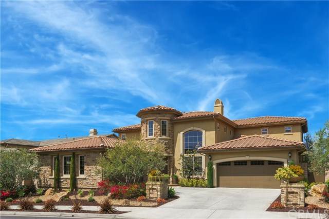 29311 Paseo Palmar - Photo 1