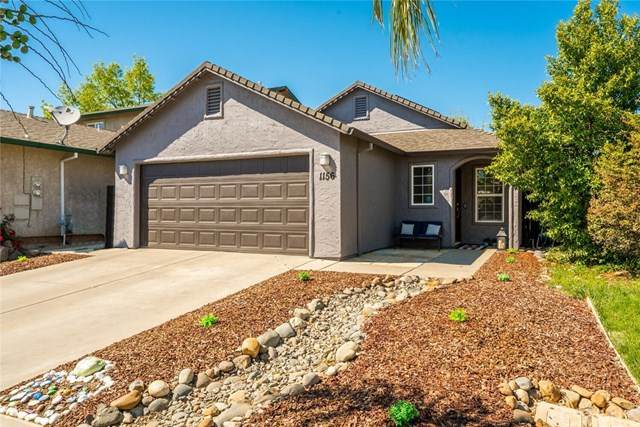 1156 Metalmark Way - Photo 1