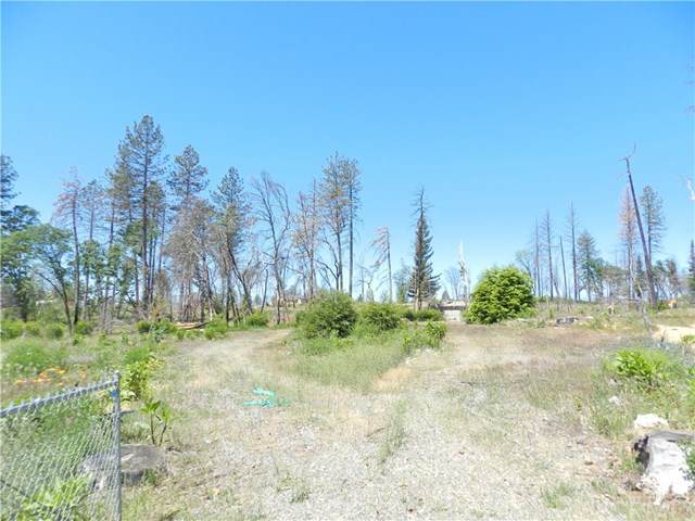 1032 Maple Park Drive - Photo 1