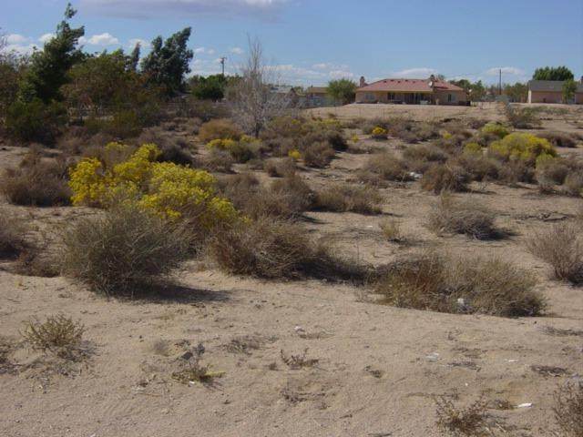 0 Hesperia Road - Photo 1