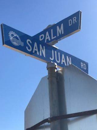 0 Palm - Photo 1