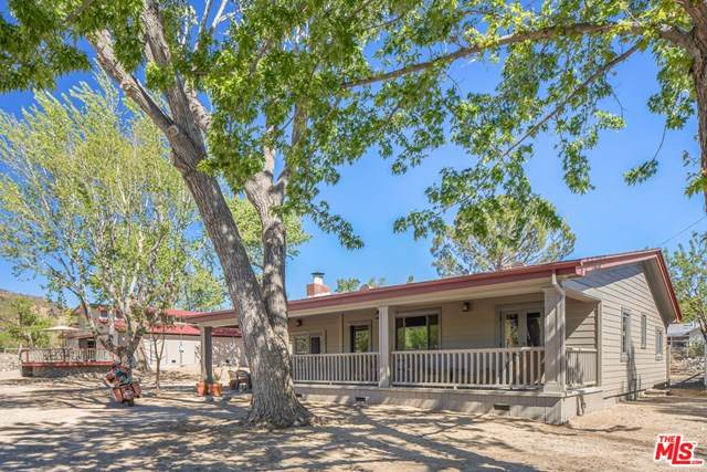 43717 Lake Hughes Road - Photo 1