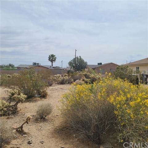 0 49 Palms Ave. - Photo 1