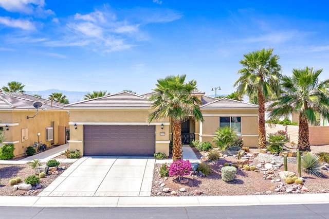 81197 Calle Orfila - Photo 1