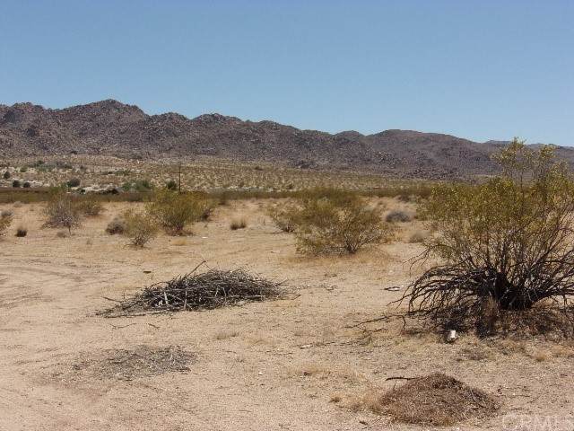 1234 Laferney - Photo 1