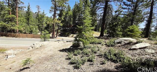 0 Big Bear Boulevard - Photo 1