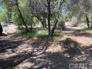 3681 Acacia Street - Photo 1