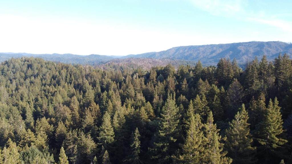 475 Stellar Way - Photo 1