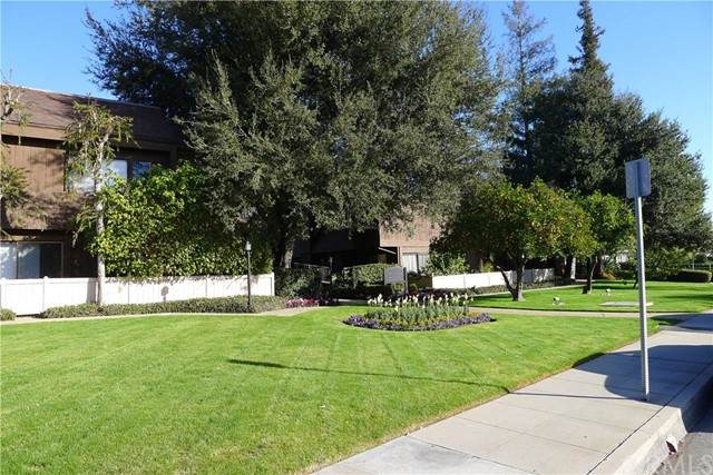 453 Duarte Road - Photo 1