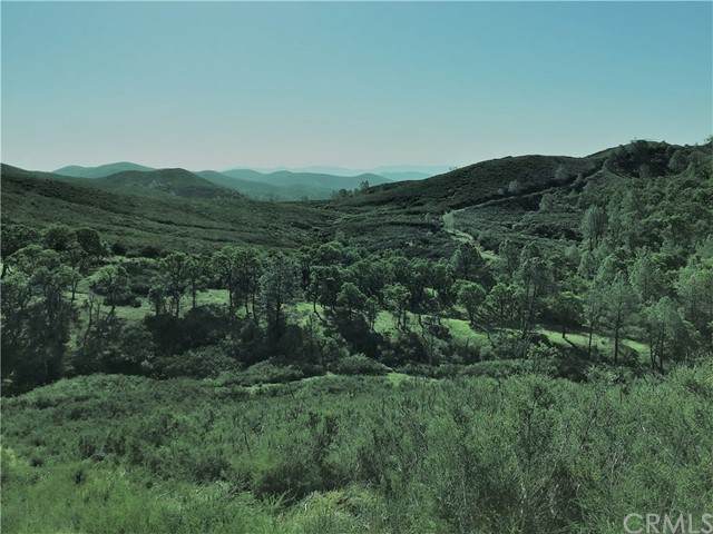 1156 Round Ball Road - Photo 1