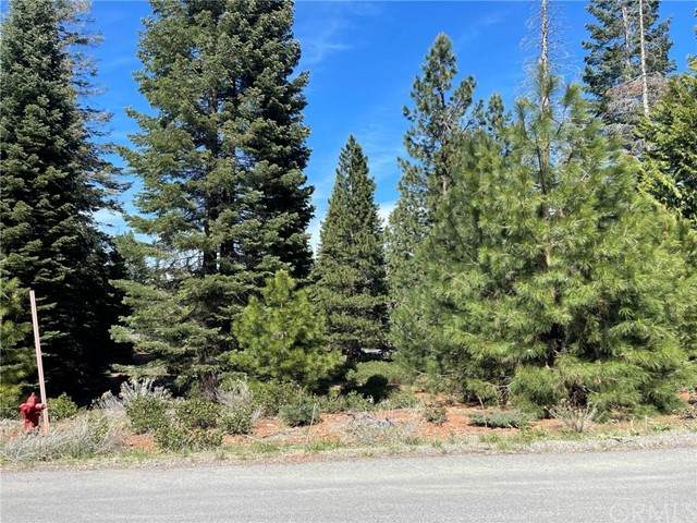 252 Snowy Peak Way - Photo 1