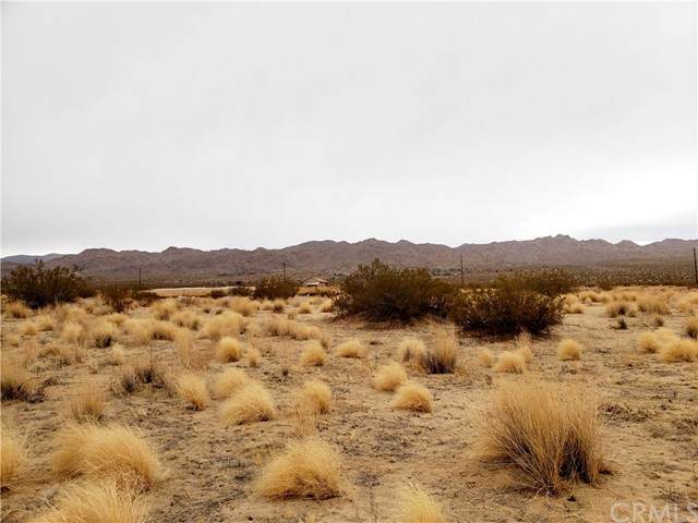 0 Two Mile Road - Photo 1