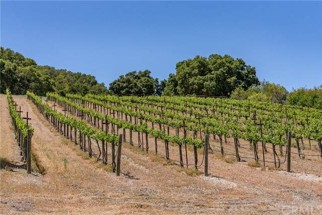 0 Kiler Canyon Road - Photo 1