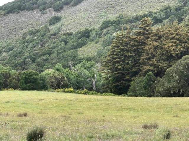 18 Potrero Trail - Photo 1