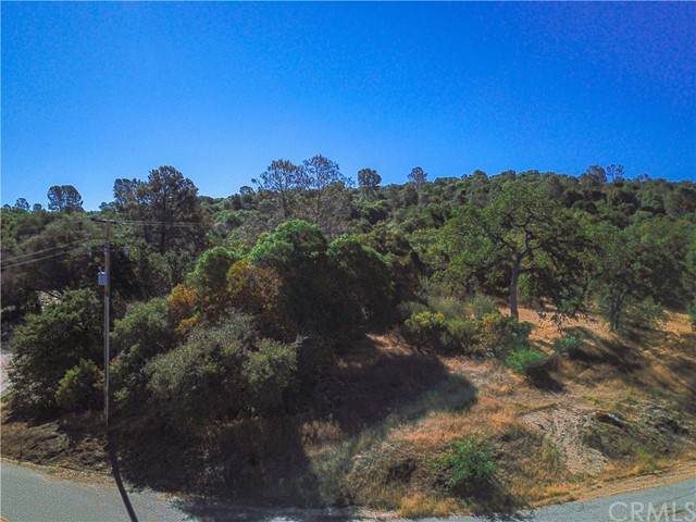 0 Longview Lane - Photo 1