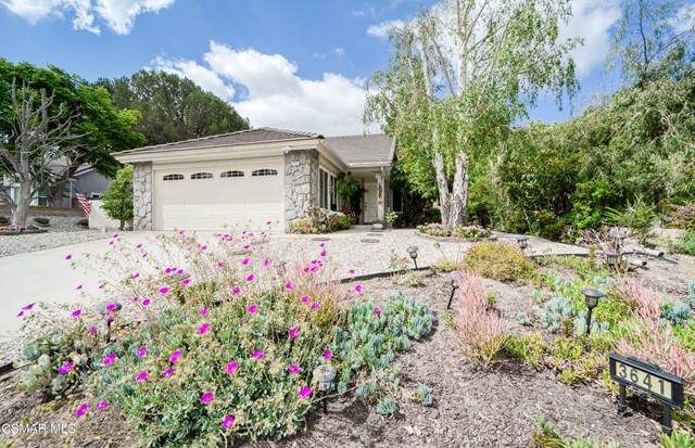 3641 Birdsong Avenue - Photo 1