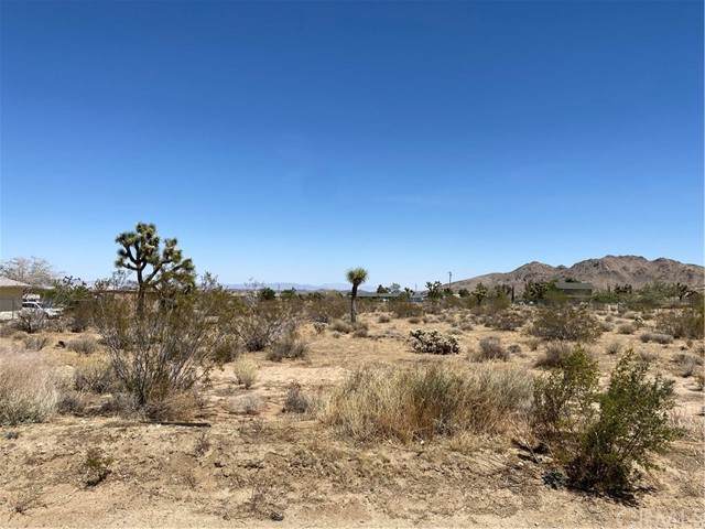 0 Yucca Mesa Road - Photo 1