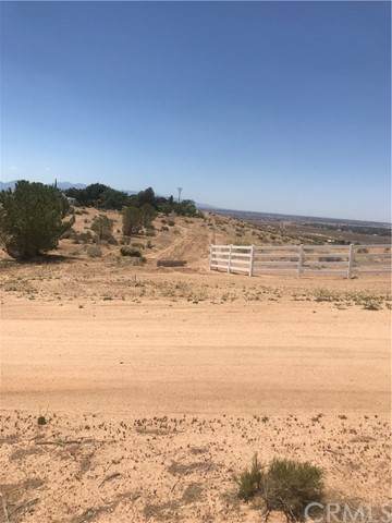 23525 Joshua Road - Photo 1