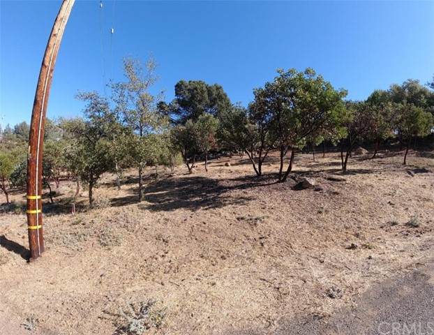 5384 Montezuma Drive - Photo 1