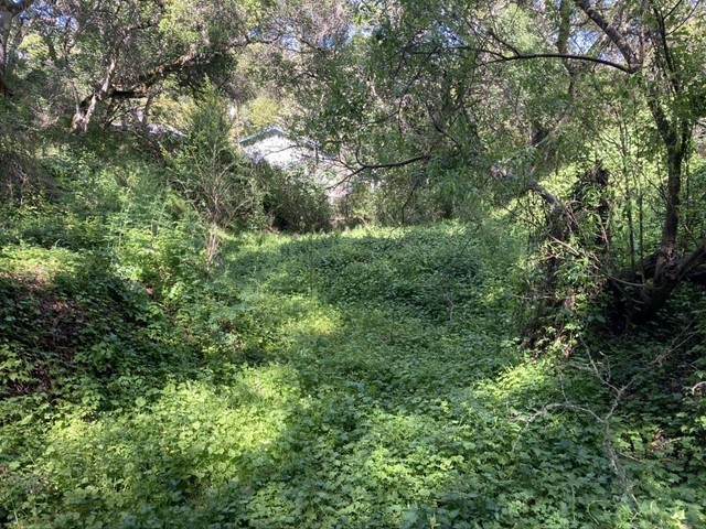 0 Marburger Avenue - Photo 1