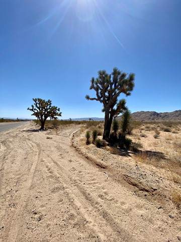 41 Acres On Aberdeen Drive - Photo 1
