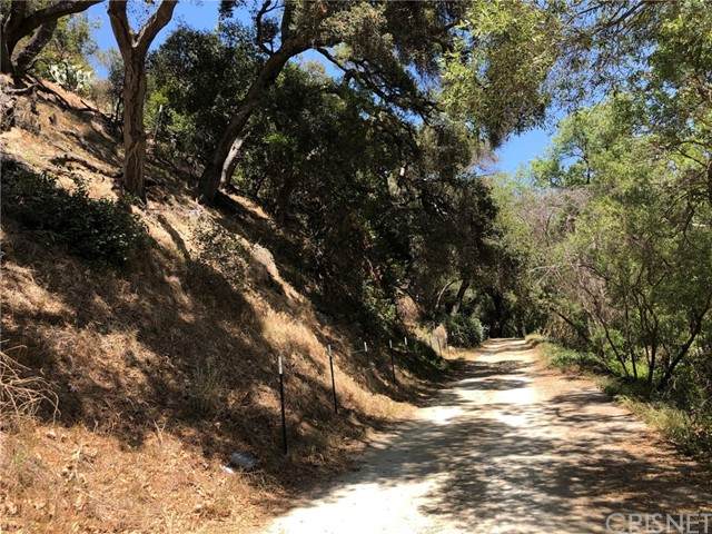 555 Creek Trail - Photo 1