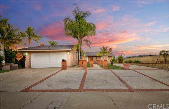 23023 Haddock Street - Photo 1