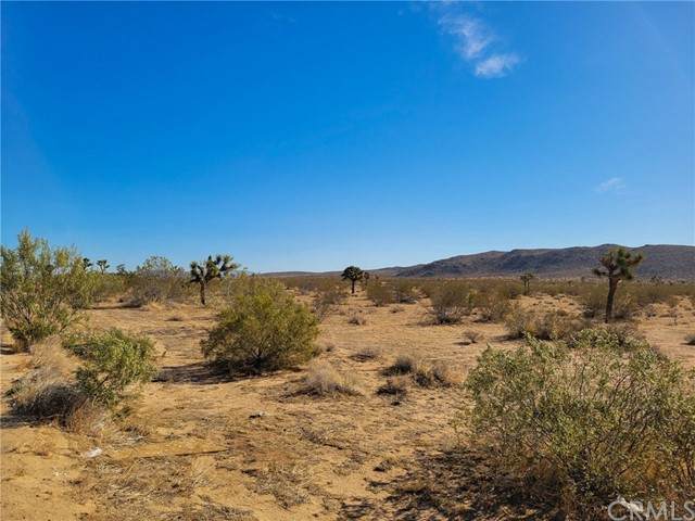 0 Avalon Avenue - Photo 1