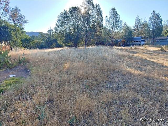2864 Nectarine Way - Photo 1