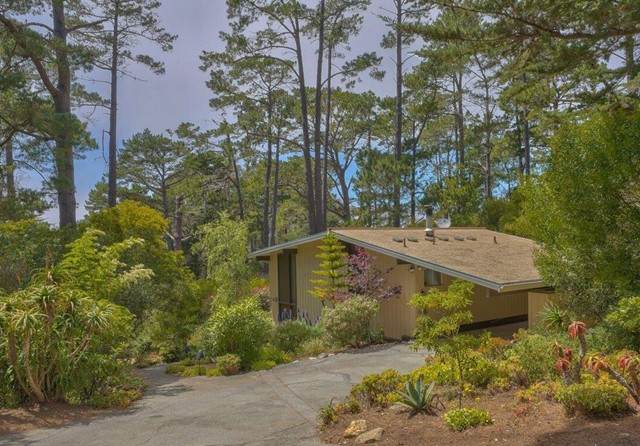 185 Upper Walden Road - Photo 1