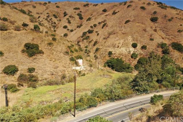 0 Carbon Canyon Road - Photo 1