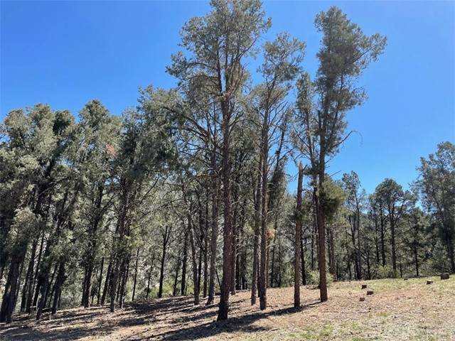 13913 Yellowstone Drive - Photo 1