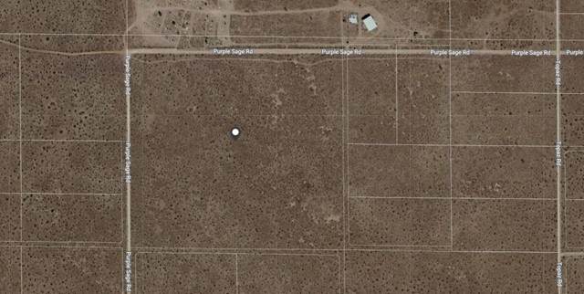 12701 Purple Sage Road - Photo 1