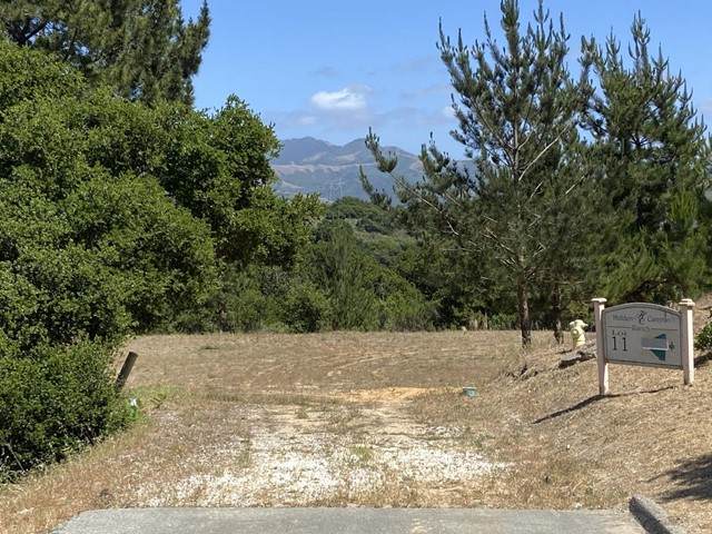 8741 Eagles Roost Road - Photo 1