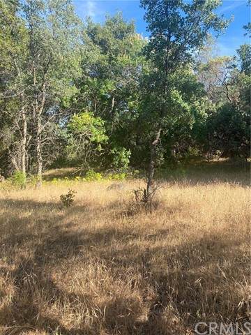 43020 Apache Ranch Road - Photo 1
