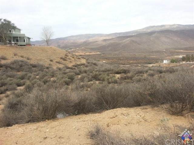 0 Sierra Highway & Pellona Rd - Photo 1