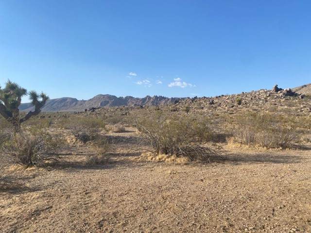 0 Jackson Road - Photo 1