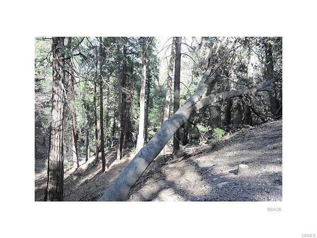 0 Mojave River Road - Photo 1