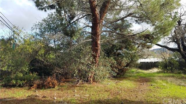 12973 Highway 20 - Photo 1