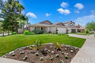 12225 Silverberry Street - Photo 1