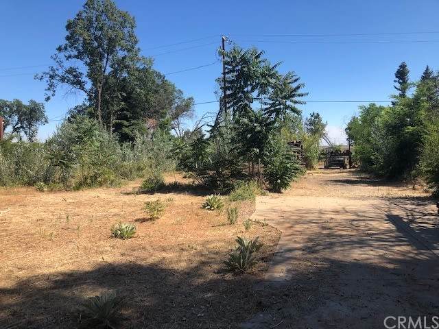 1413 Dottie Lane - Photo 1